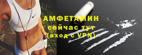 гидра Армянск