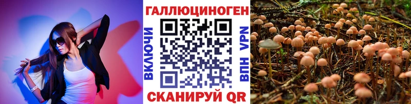 что такое Мариинск Галлюциногенные грибы MAGIC MUSHROOMS